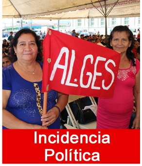 incidencia_politica.jpg