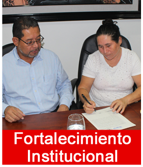 fortalecimiento_institucion.jpg