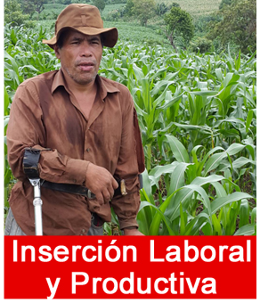 fortalecimiento_productivo.jpg
